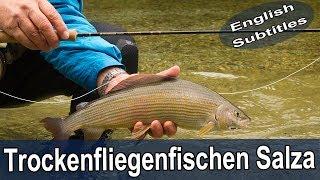 Fliegenfischen mit der Trockenfliege an der Salza