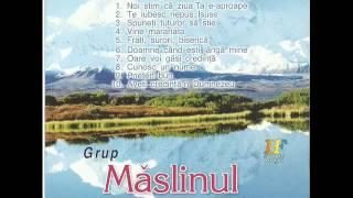 Maslinul Hateg - Vine maranata