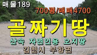 오지땅/김천시 부항면 시골땅/700평,매매4700만원/자연인,귀촌인들께 추천하는 산골짜기땅