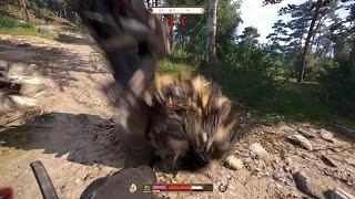 The weirdest encounter in Kingdom Come Deliverance 2