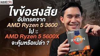 ไขข้อสงสัย อัปเกรดจาก AMD Ryzen 5 3600 ไป Ryzen 5 5600X จะคุ้มหรือเปล่า ? | iHAVECPU