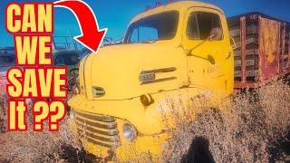 Unearthing Hidden Gems in a Arizona Junkyard Full of Ford COE's