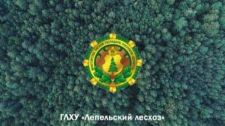 Лепельский лесхоз | Презентационный фильм