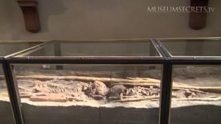 Exploring Prehistoric Life at State Historical Museum in Moscow (Vlog)