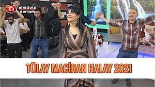 Tülay Maciran - Ekin Ektim Tarlaya Kızlar Gelip Biçecek (Halay) 2021 !!!