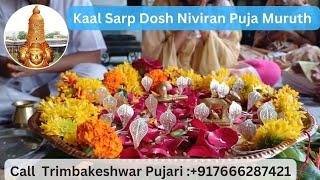 Trimbakeshwar Kaal Sarp Puja||Shrawan Puja Trimbakeshwar||Pandit Rishikesh Guruji||7666287421