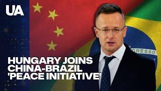 Why is Hungary joining China-Brazil's 'Peace Initiative'?