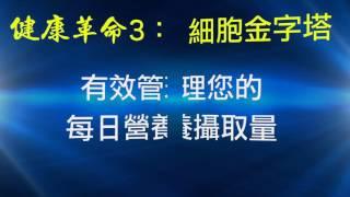 陳堅真老師專業指導 之 自然律例