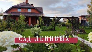 ЧТО БУДЕТ С САДОМ, ЕСЛИ ЗА НИМ НЕ УХАЖИВАТЬ/ОБЗОР ОСЕННЕГО САДА