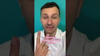 поджелудочная железа, панкреатит, здоровье, хронический панкреатит, панкреатит симптомы