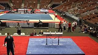 Brody Malone - Pommel Horse - 2017 P&G Championships - Junior Men - Day 2