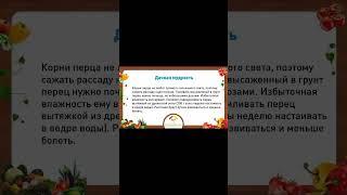ДАЧНАЯ МУДРОСТЬ
