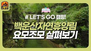 [#Let's Go 자연휴양림] 울창한 숲과 맑은 물이 흐르는 백운산자연휴양림 살펴보기