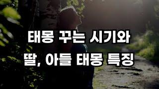 뱀 복숭아 물고기 호랑이 등 종류별 태몽 꿈 해석과 꾸는 시기