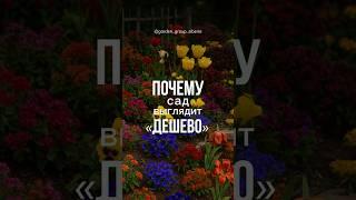 Цвет в #ландшафтныйдизайн #gardengroup