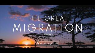 The Great Migration - Insentra