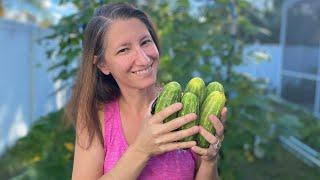 The Brutal Truth About Growing Cucumbers from Seed