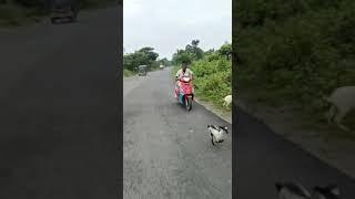 Pagolor cm Islam bahi silchar \ assam india Silchar \ #pagol #viral #funny #Rider #silchar #short