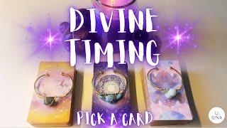  DIVINE TIMING   IMPORTANT MESSAGE THAT NEEDS TO REACH YOU NOW  PICK A CAD 