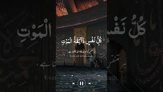 Quran - recitation #tilawat