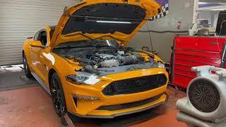 Mustang GT Dyno Run - MD Auto & Tire Vero Beach