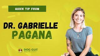 Dr. Gabrielle Pagana | Superfoods For Dogs | Pet Summits