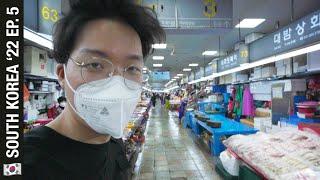 BIGGEST Seafood Market In Korea  (Gamcheon Culture Village, Jagalchi Market)