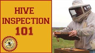 Hive Inspection: Learn How to Perform a Spring Hive Inspection