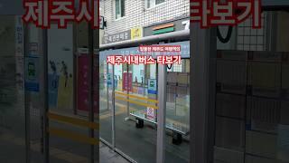 제주도 제주버스터미널 #제주도여행