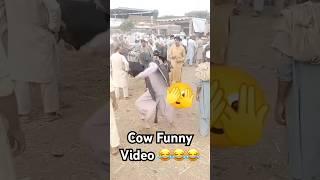 Cow Mandi Funny Video Eid ul Adha #eiduladha #funny #eid #eidmubarak #eid2024 #viralvideo  #cow