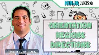 Anatomical Orientation & Regional + Directional Terminology