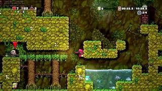 Spelunky Fail (0 money run)