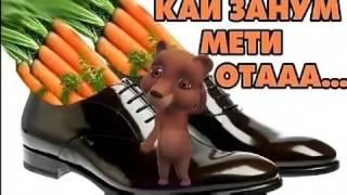 #Зангири Барои #брадягахо 2017