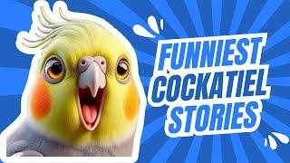 The Best of Cockatiel Trends: Joyful Stories and Moments #funny #parrot #cockatiel