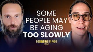 Beyond Lab Tests Dr. Mel Koppelman's First Principles Health Approach