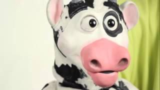 Professional baby cow puppet, cow puppet