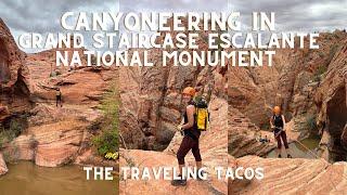 Canyoneering into Slot Canyons of Grand Staircase Escalante - The Traveling Tacos