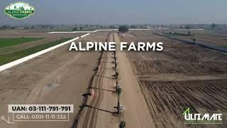 ALPINE FARMS Location Guide - Main G.T Road, Batapur