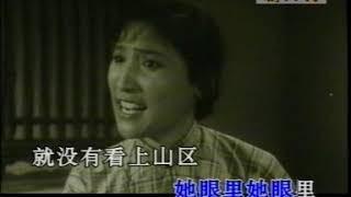 河南豫剧名曲名段《朝阳沟》选段：墙上画马不能骑