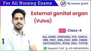 External genital organ (Vulva) | by Rajesh Sir | Rj career point