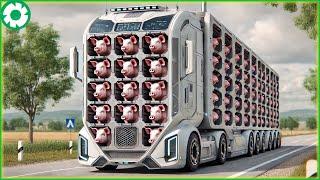 Transporting Thousands of Pigs This Way - Biggest Heavy Equipment Machines | Agriculture Technology