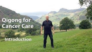 Qigong for Chronic Illness and Cancer Care Patients - Introduction - Guigen Qigong