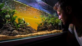 50+ BIOTOPE AQUASCAPES #AquaticHabitatsBook