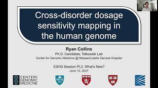 PL2.3 - A cross-disorder dosage sensitivity map of the human genome