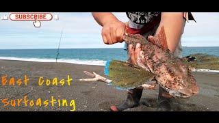 East Coast NZ - SURFCASTING | SNAPPER | GURNARD | KAHAWAI Hawkes Bay.