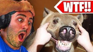 THE SCARIEST ANIMAL ENCOUNTERS ON PLANET EARTH!