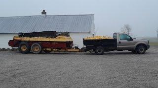 Ear Corn Delivery with a Manure Spreader