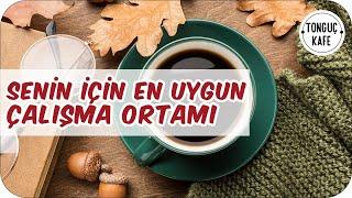 Ders Çalışırken Odaklanmanı ve Konsantrasyonunu Artıracak Müzikler | 2 Pomodoro | Tonguç Kafe