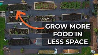 How to grow MORE food in your garden | Key ideas for self-sufficiency