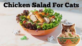 Chicken salad  | Homemade cat food!  | Chicken salad for cats